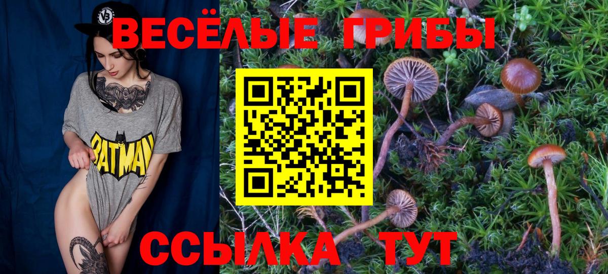 Псилоцибиновые грибы Psilocybe  Вход с VPN  Ивантеевка 