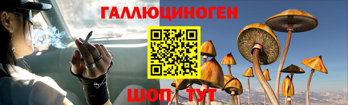 Галлюциногенные грибы прущие грибы Ивантеевка